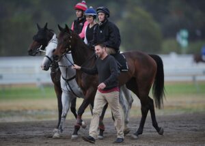 The People Behind Racing: An Industry Built on Specialist Skills